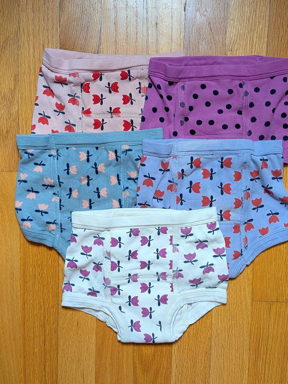 Hannah Andersson 5-Pack Organic Cotton Training Underwear, Size XS, style: Tulip
